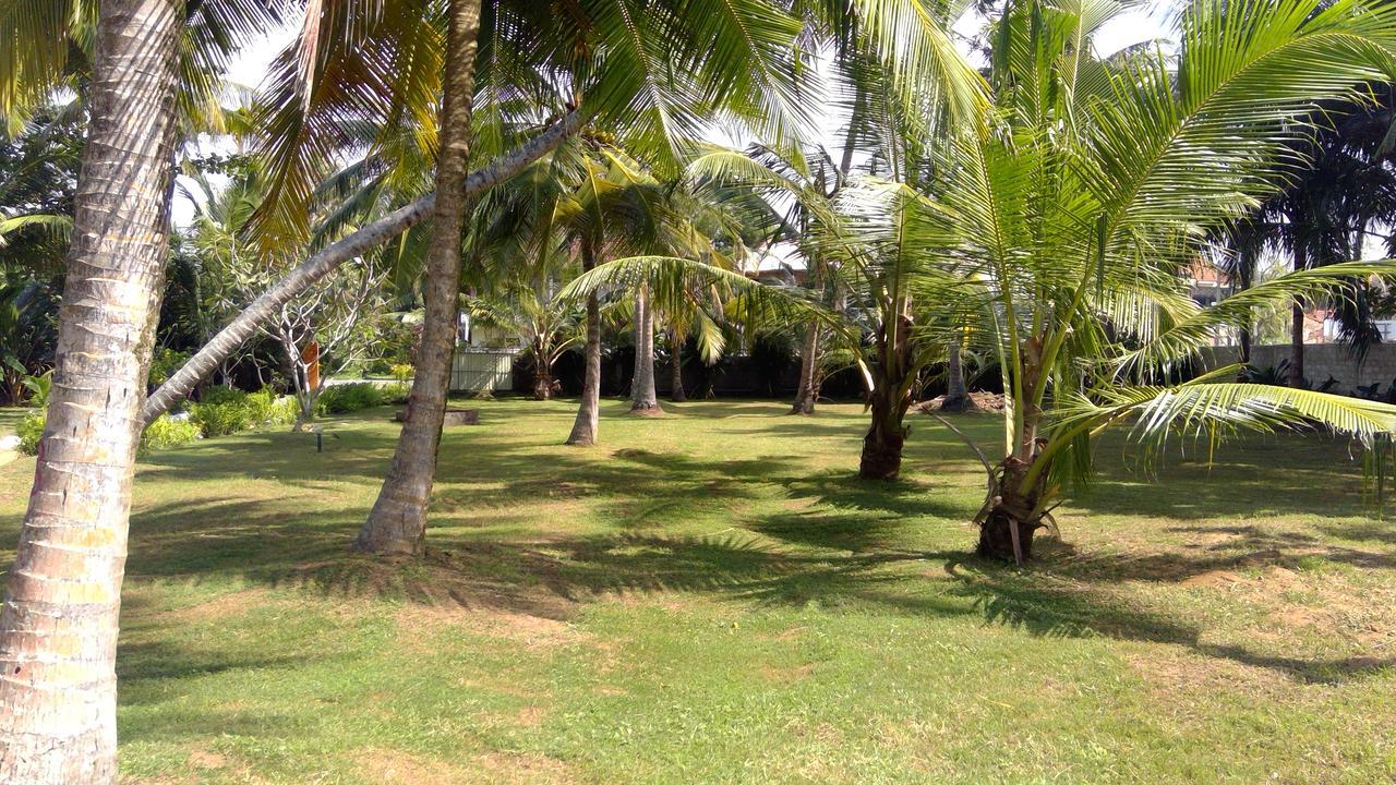 Dreamvillage Dodanduwa Exterior foto